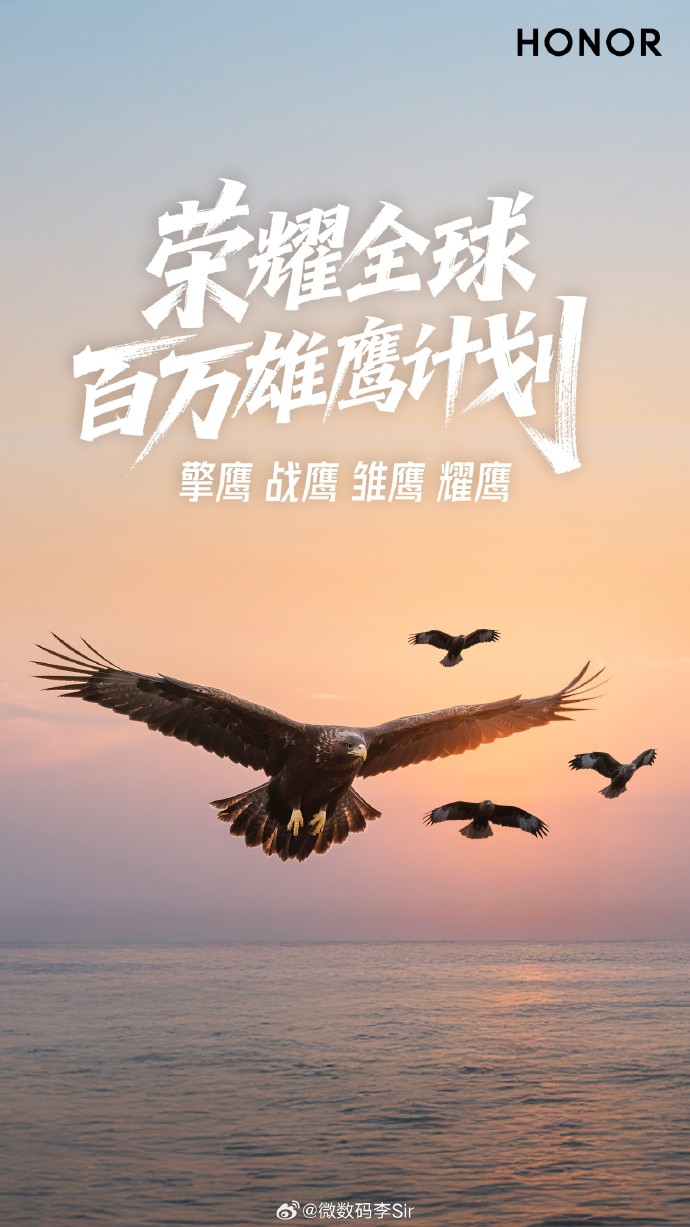 队伍经过努力训练，终于荣耀登顶